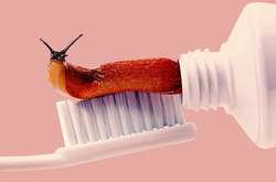 Работа дизайнера Ренди Льюиса