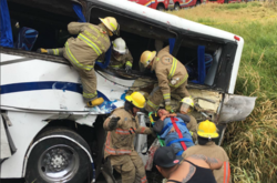 У Мексиці автобус з дитячими футбольними командами зіткнувся з потягом, є жертви