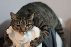 З початку опалювального сезону Україна використала 1,5 млрд кубометрів газу