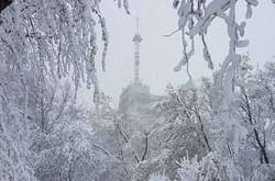 Негода в Києві: завтра батьки можуть не відправляти дітей до школи і дитсадки