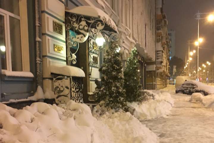Київ у сніговому полоні: 30-сантиметрові замети на вулицях міста (фото)