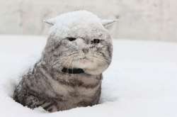 До столиці нарешті прийшла метеорологічна зима, — експерти