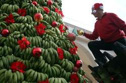 В Ливане установили банановую новогоднюю елку (фото)