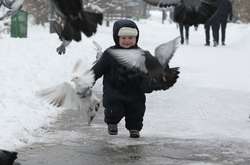 Синоптики прогнозують на четвер морозну погоду