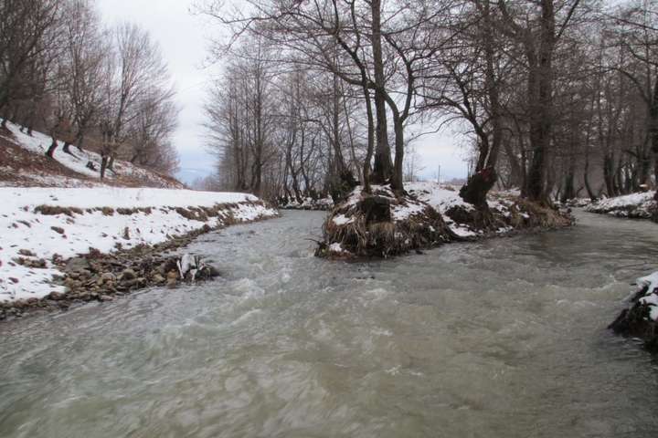 Синоптики попереджають про підйом річок на Закарпатті 