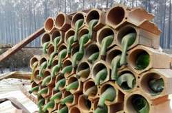 Ракурс вирішує все: оригінальні фото, які вимагають особливої уваги