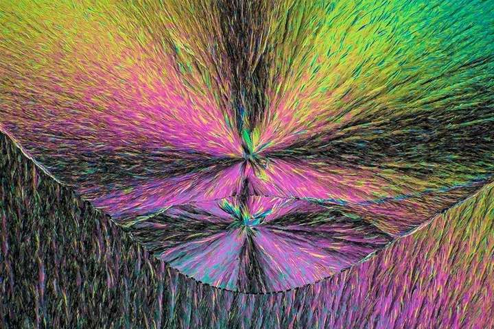 Як виглядає пігулка парацетамолу під мікроскопом. Яскраві фото
