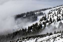 Рятувальники попередили про лавинну небезпеку у Карпатах