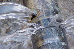 Ілюстраційне фото