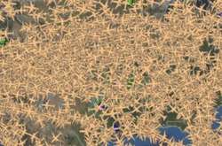 Небо над Америкой перед Рождество