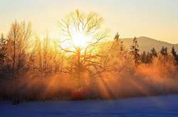 В Киеве зафиксировали рекордно теплую ночь