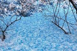 У Санкт-Петербурзі випав синій сніг (Фото)