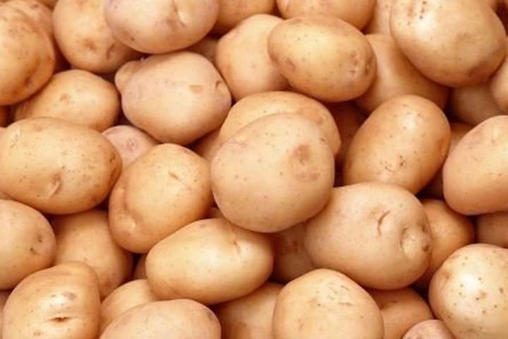 Столичному ресторану продали мішок картоплі, яку школярі збирали для воїнів АТО