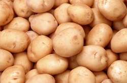 Столичному ресторану продали мішок картоплі, яку школярі збирали для воїнів АТО