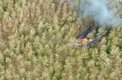 У Коста-Риці розбився літак: 10 людей загинули