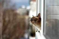 Синоптик розповіла, якою буде погода до Різдва