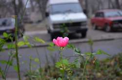 Грудень 2017 року став одним з найтепліших у Києві за 136 років 