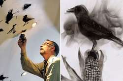 Огонь вместо красок: Канадский художник показал, как хулиганство в подъездах превращается в искусство