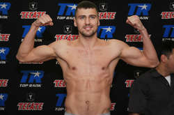 WBC санкціонував бій Гвоздик - Альварес