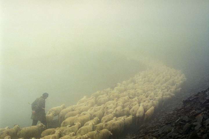 Складне та суворе життя грузинських гірських пастухів. Фотогалерея