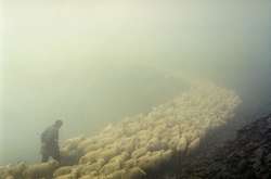 Складне та суворе життя грузинських гірських пастухів. Фотогалерея