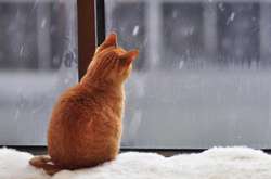 В Україні сьогодні очікується похмура погода 