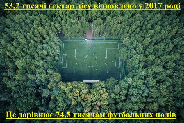 Знадобиться майже 75 тисяч футбольних полів, щоб виміряти площу відновлених лісів в Україні — Держлісагенство