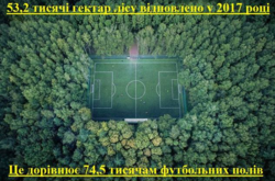Знадобиться майже 75 тисяч футбольних полів, щоб виміряти площу відновлених лісів в Україні — Держлісагенство