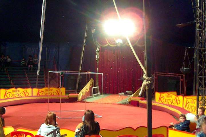 Столична влада заборонила роботу цирку, в якому виявили кір