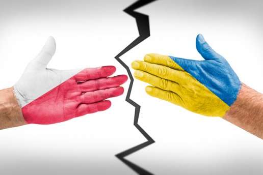 Українцям стало соромно просити допомоги у польських політиків - активістка