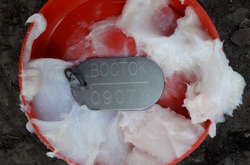 Пограничники задержали женщину, которая перевозила из «ДНР» списки боевиков и жетон батальона «Восток»