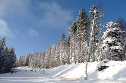 Рятувальники попередили про ймовірність лавин у Карпатах