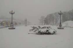  Сніг у Києві 