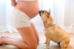 Нежнее нежного: Трогательные снимки питомцев, которые ждут появления малышей  