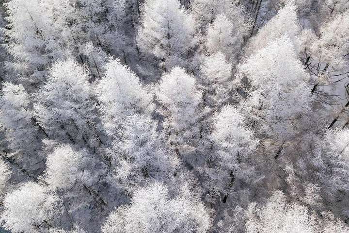 Неймовірні фото, які зображують красу та чарівність зимової Японії