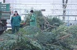 Что осталось от главной елки Украины: появились «послепраздничные» фото и видео