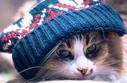 Погода в Украине на неделю: будет ли новое похолодание