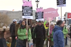 Німецькі селяни влаштували у Берліні «тракторний» протест