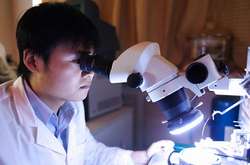 Китай вперше в історії випередив США за кількістю наукових публікацій