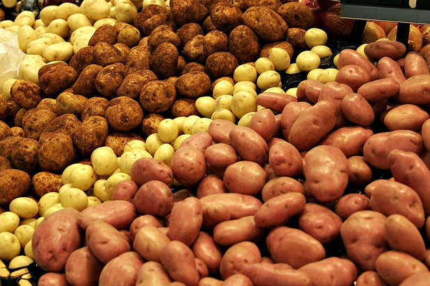 Україна збільшила експорт картоплі у 3,5 разів
