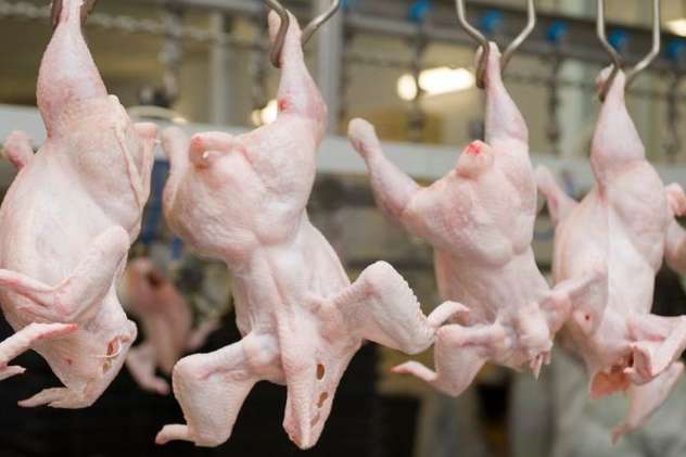 Виробники курятини підозрюються у ціновій змові