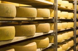 Росія звинувачує Білорусь у поставках українського сиру 