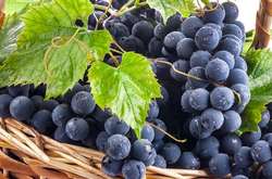 В Украине будут отмечать еще один профессиональный праздник