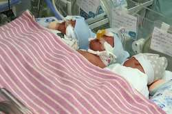 Трійня народилася у багатодітної сім'ї