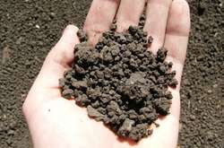 Уряд з лютого почне передавати землі тергромадам 