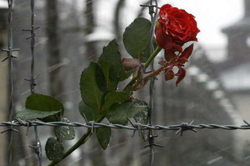 Сьогодні Міжнародний день пам’яті жертв Голокосту