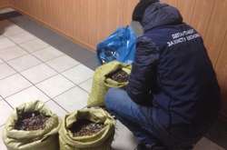 На Житомирщині викрито нелегальний цех з обробки бурштину