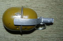 Невідомі кинули гранату у приватний двір на Рівненщині 