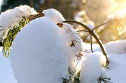  На западе ожидается до +8 +9 градусов 