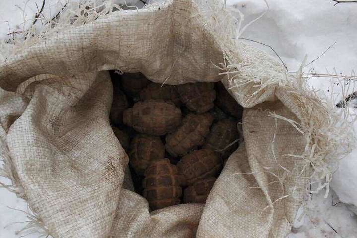 У лісі на Миколаївщині знайшли мішок гранат
